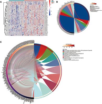 DesA Prognostic Risk Model of LncRNAs in Patients With Acute Myeloid Leukaemia Based on TCGA Data